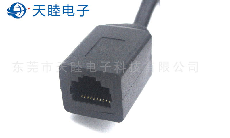 10P10C RJ45延長線